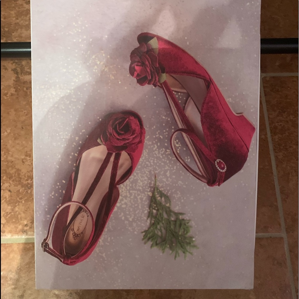 Joyfolie size6, shoes , cranberry color gently worn
